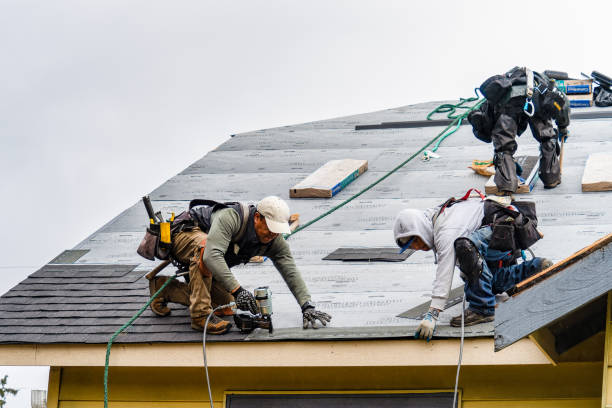 Professional Flat Roof Repair technician working in Eckert, CO