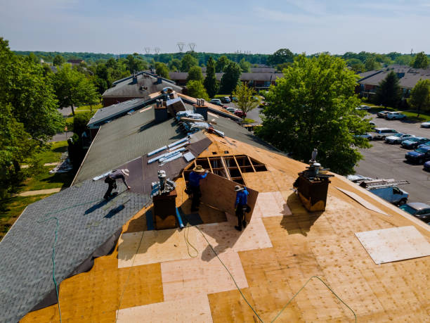 24/7 Emergency Flat Roof Repair experts in Eckert, CO